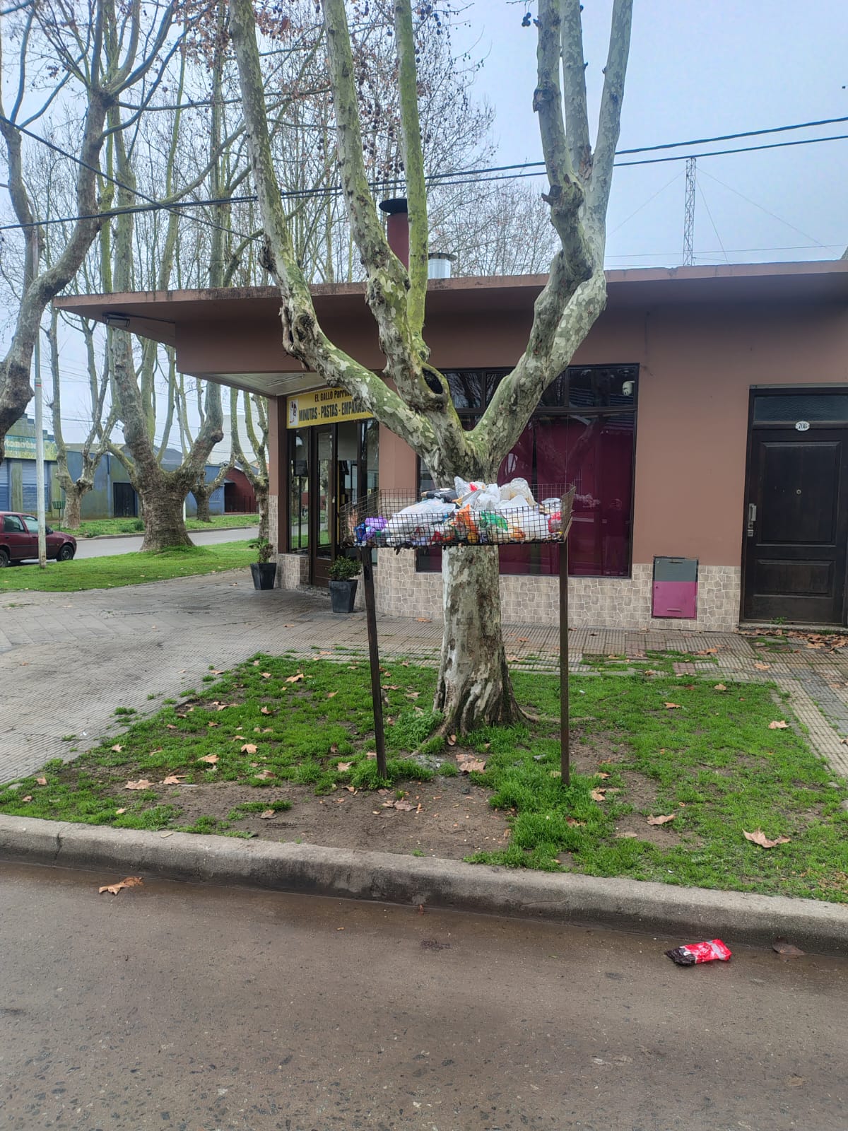Preocupación en Madariaga: la basura de los fines de semana termina esparcida por perros callejeros