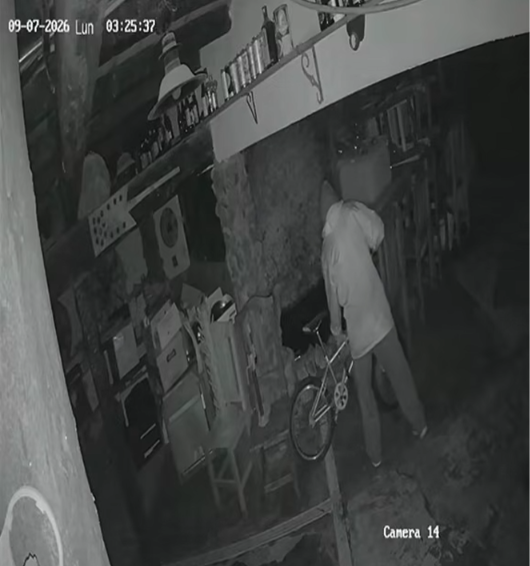 Roban en El Viejo Hobbit de Villa Gesell