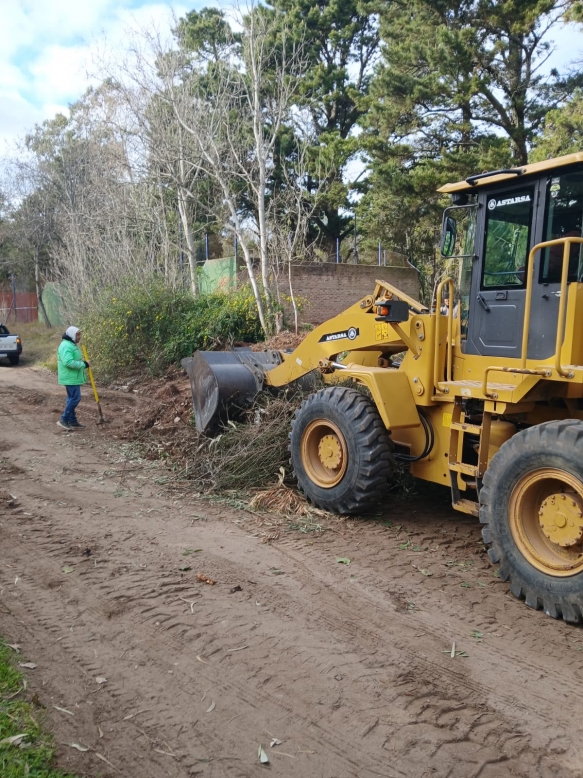 Operativo de recolección de ramas en la vía pública de Villa Gesell