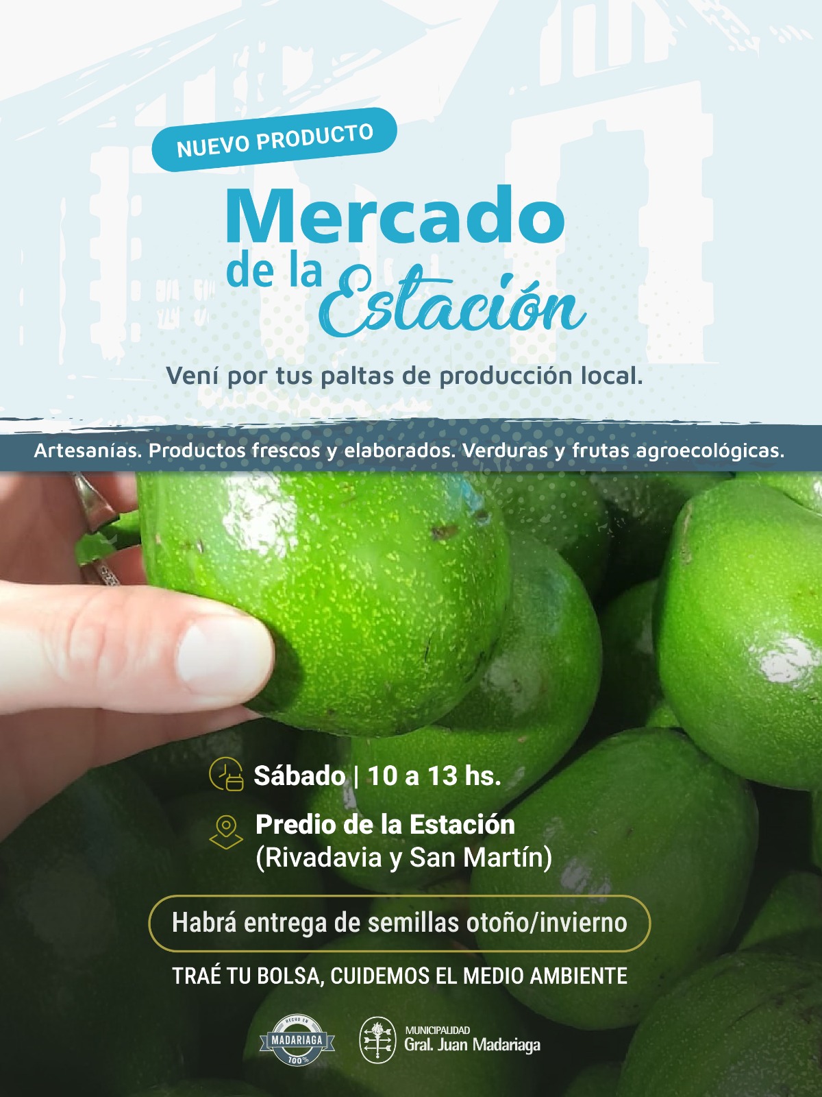 Paltas de Madariaga se venden en el Mercado de la Estaci&oacute;n