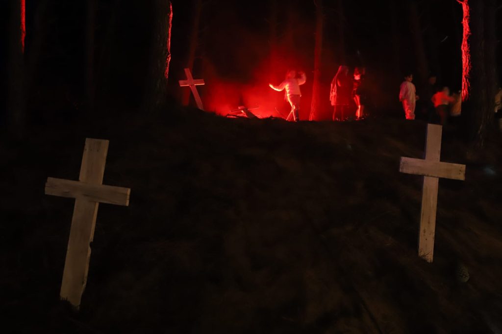 El Festival de Cine de Terror en el Bosque fue declarado de inter&eacute;s por la Honorable C&aacute;mara de Diputados de la Naci&oacute;n