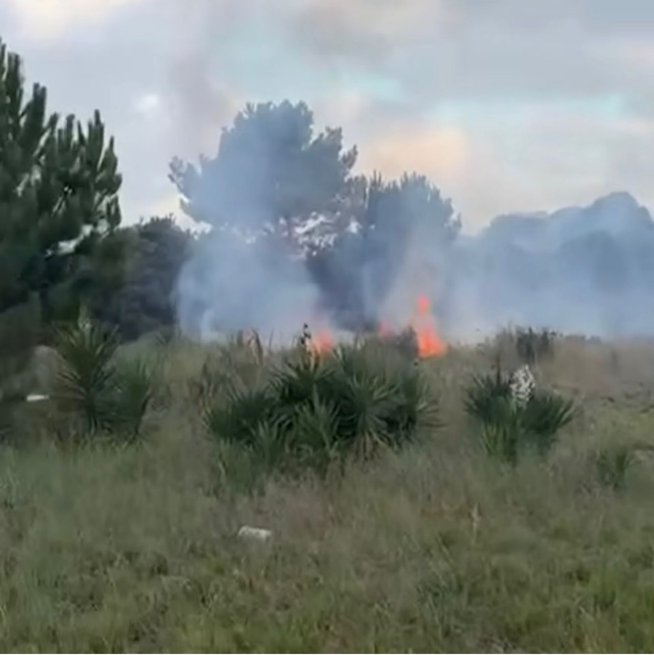 Bomberos de Villa Gesell combatieron siete focos forestales y un incendio de vivienda