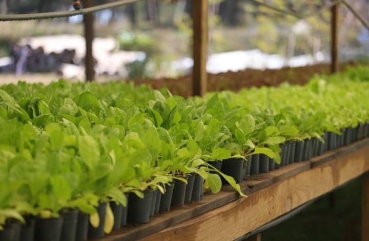 Pinamar y el INTA acercan nuevas herramientas para la producci&oacute;n sustentable