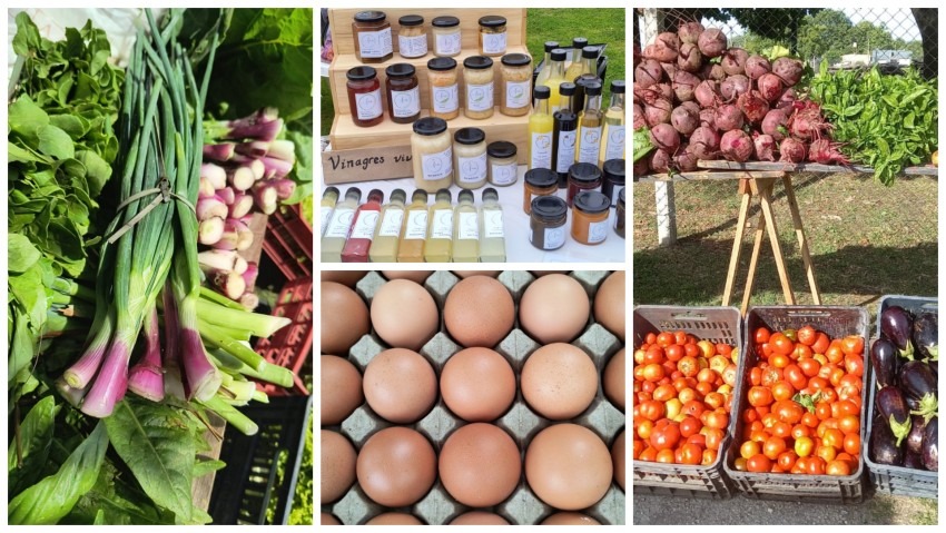 Reabre el Mercado Concentrador de Madariaga con productos locales