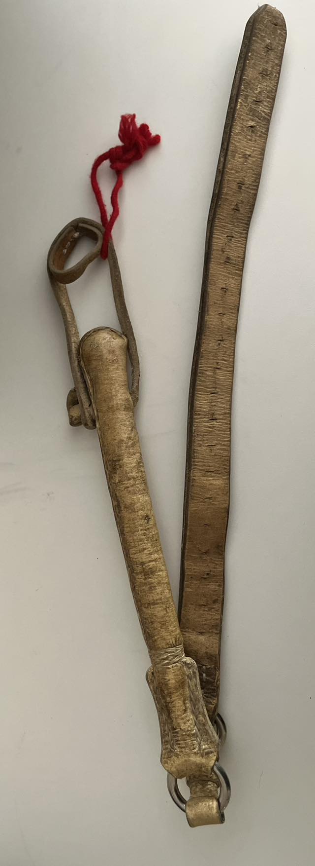 Una mujer denunci&oacute; a otra por agredirla con un rebenque en plena v&iacute;a p&uacute;blica